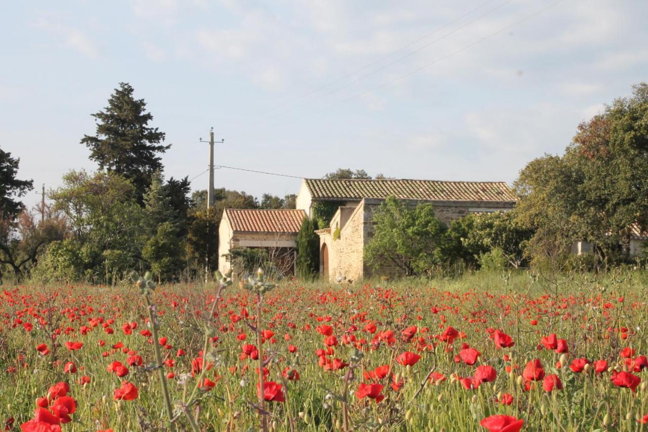 Le Mas De La Seuve Richerenches Exteriér fotografie